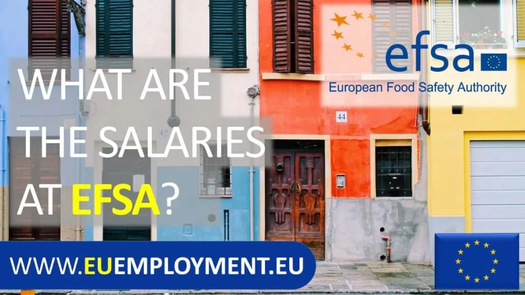 Illustration for an article about efsa salaries