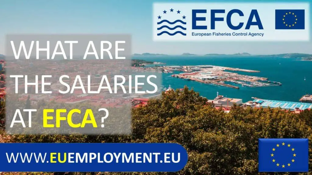 Illustration of an article about efca salaries