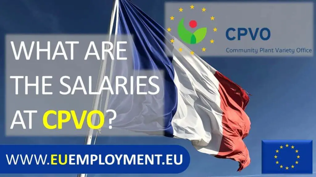 Illustration of an article about CPVO salaries