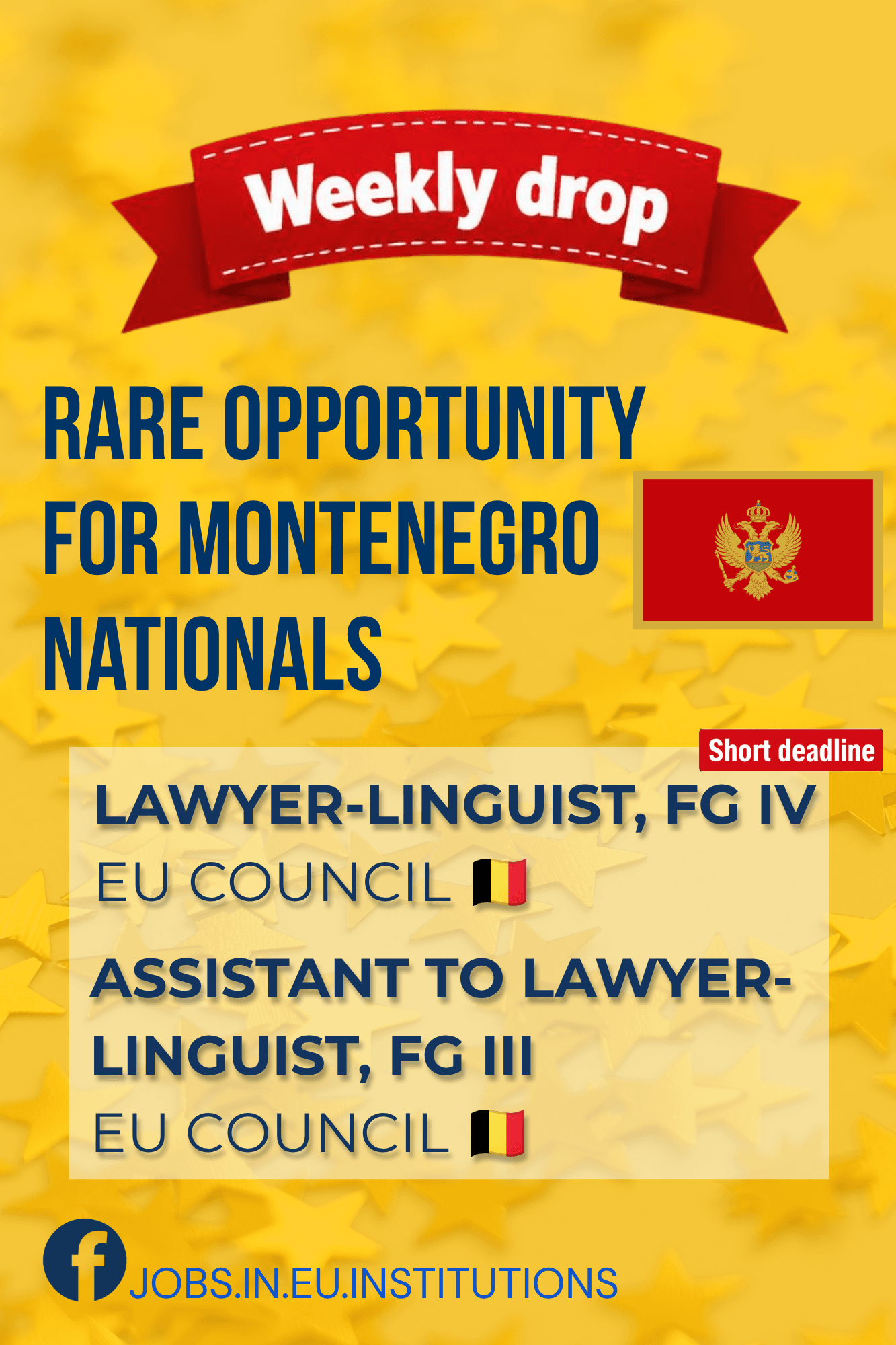 ASSISTANT TO Montenegrin LAWYER-LINGUISTS AT THE COUNCIL OF THE EU